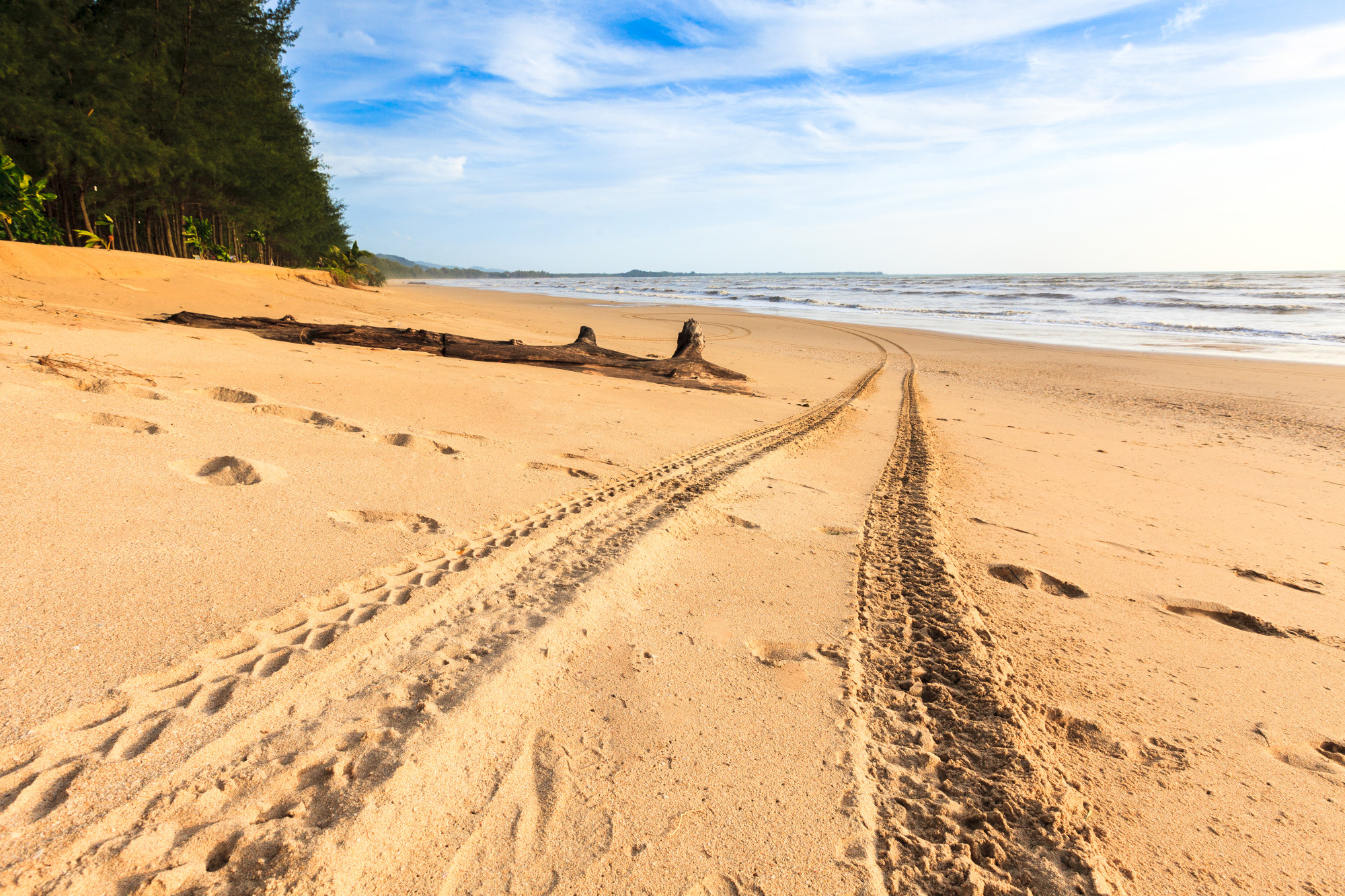 shutterstock_145044106